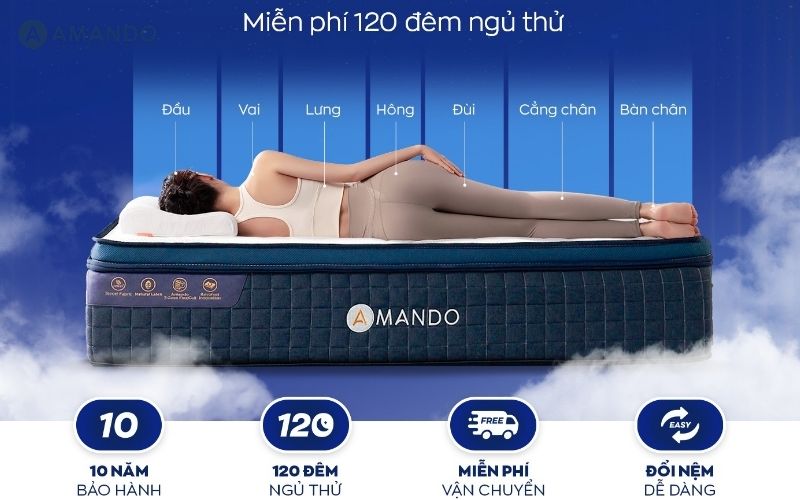 Top 10+ cửa hàng nệm quận Cầu Giấy giá rẻ, đáng mua 2026 12 Trải nghiệm tại cửa hàng nệm quận Cầu Giấy Vua Nệm
