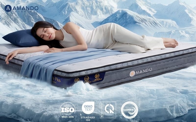 Mua nệm ở đâu Thái Bình? Top 8 cửa hàng nệm uy tín, giá tốt 2026 10 Kinh nghiệm mua nệm giá tốt tại Thái Bình