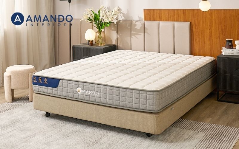 Top 10 cửa hàng nệm Bình Chánh uy tín, giá tốt đáng tham khảo 19 Lựa chọn cửa hàng/thương hiệu có giá sản phẩm niêm yết rõ ràng