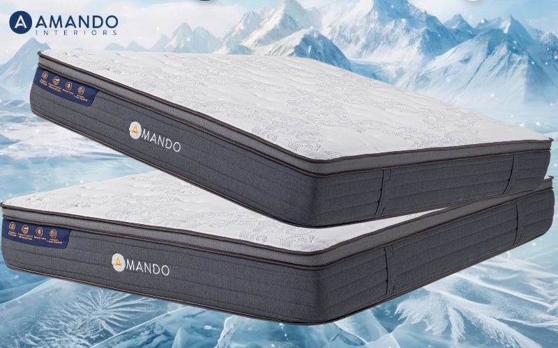 Mua nệm ở đâu quận 12? Bật mí 9 cửa hàng nệm quận 12 uy tín 2 Mua nệm lò xo Amando online tiện lợi ở quận 12