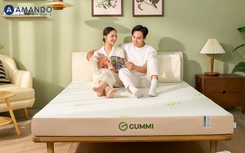 Mua nệm ở đâu quận 9 chất lượng, uy tín, giá tốt? 4 Gummi là thương hiệu chuyên về nệm và gối cao su thiên nhiên