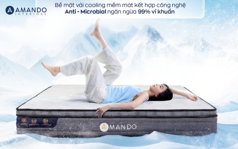 Mua nệm ở đâu Thái Bình? Top 8 cửa hàng nệm uy tín, giá tốt 2026 2 Nệm Amando uy tín, nhiều người lựa chọn