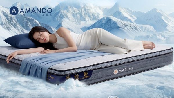 Mua nệm ở đâu Thái Nguyên? Top 12 cửa hàng nệm uy tín, giá tốt