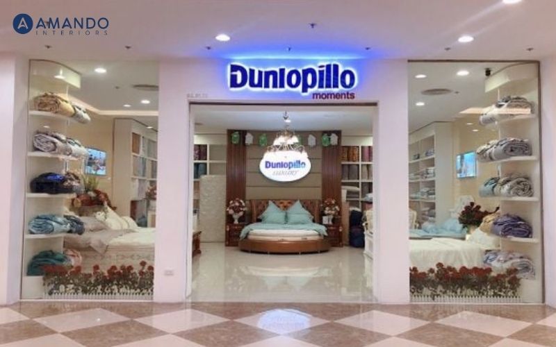 Mua nệm ở đâu Thái Bình? Top 8 cửa hàng nệm uy tín, giá tốt 2026 7 Cửa hàng nệm Dunlopillo