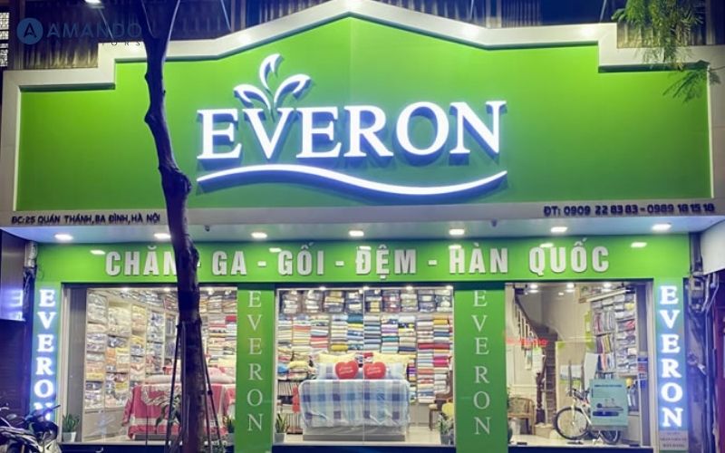 Mua nệm ở đâu Thái Bình? Top 8 cửa hàng nệm uy tín, giá tốt 2026 8 Đại lý nệm Everon
