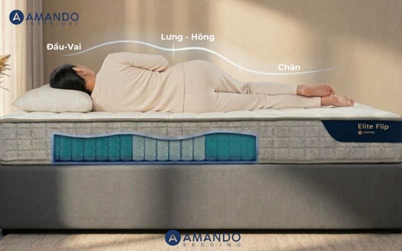 Cách xử lý nệm bị thấm nước nhanh - gợi ý nệm dễ làm sạch 8 Amando Elite Flip 2 mặt linh hoạt