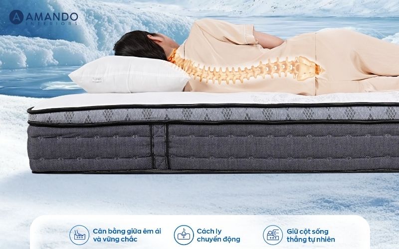 Top 10+ cửa hàng nệm quận Cầu Giấy giá rẻ, đáng mua 2026 3 Nệm Amando hỗ trợ cột sống tốt