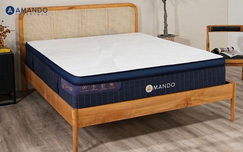 Mua nệm ở đâu Vĩnh Long? 8 cửa hàng nệm giá tốt Vĩnh Long 16 Tiêu chí chọn cửa hàng nệm Vĩnh Long