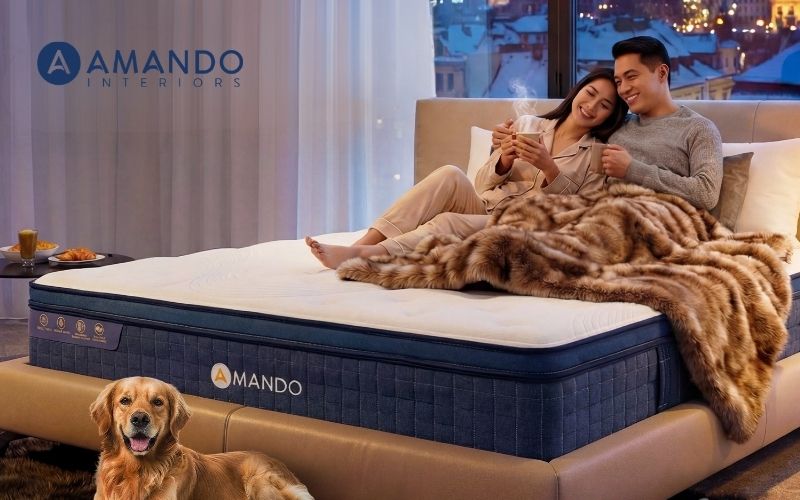 Top 10 cửa hàng nệm Bình Chánh uy tín, giá tốt đáng tham khảo 20 Tìm hiểu chính sách hỗ trợ khách hàng của các cửa hàng/thương hiệu