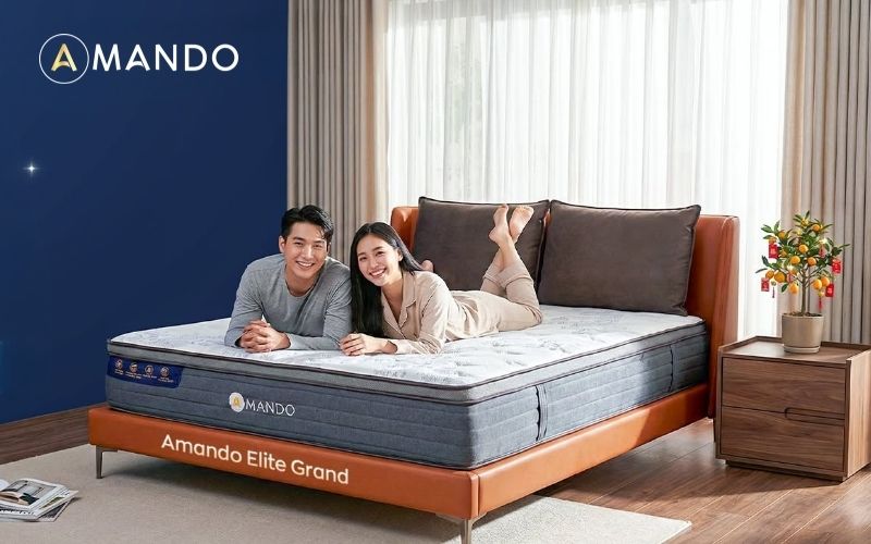Mua nệm ở đâu Quận 3? Top 12 cửa hàng nệm uy tín, giá tốt 12 Tìm hiểu trước chính sách bảo hành và hậu mãi