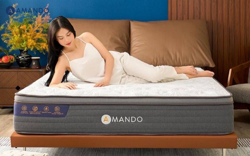 Mua nệm ở đâu Vĩnh Long? 8 cửa hàng nệm giá tốt Vĩnh Long 2 Top 8 cửa hàng nệm Vĩnh Long uy tín, giá tốt