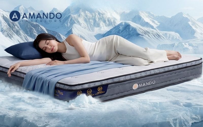 Mua nệm chính hãng thương hiệu Amando online ở Long Biên 