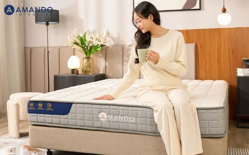 Nệm 1m4 x 1m6: Kích thước, ưu điểm và kinh nghiệm chọn mua 2 Nệm 1m4 x 1m6 phù hợp với người độc thân sống trong căn hộ nhỏ