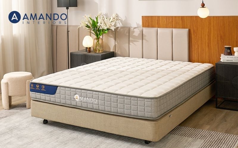 Mua nệm cưới ở đâu giá tốt? Kinh nghiệm & địa chỉ uy tín 13 Amando Elite Flip 24cm