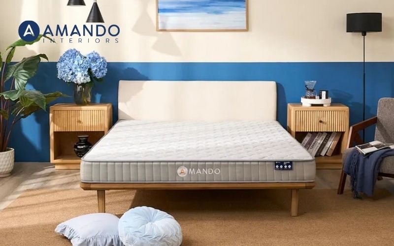 Đệm cưới nên mua loại nào? Top 09 mẫu nệm cưới không nên bỏ lỡ 6 Nệm cưới Amando Eco